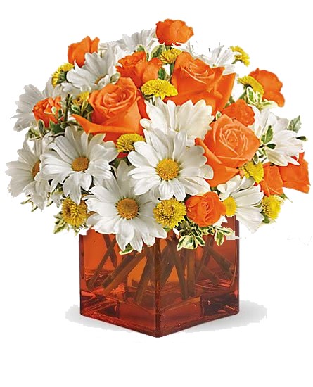 Tasteful Tangerine